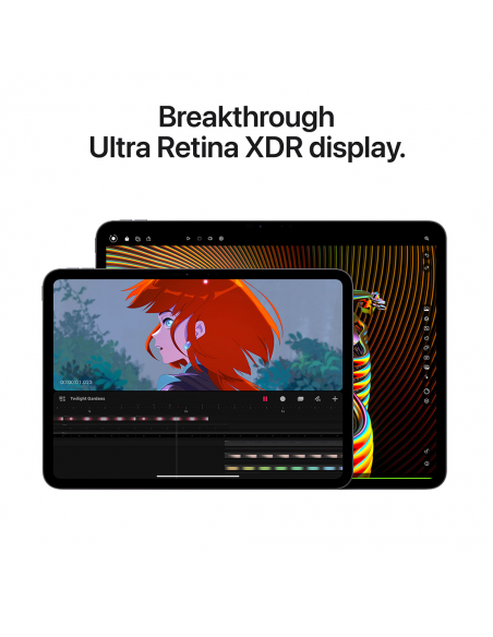 iPad Pro 13" M4 WiFi Cellular 256GB with Standard glass -Silver