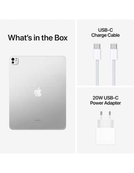 iPad Pro 13" M4 WiFi Cellular 256GB with Standard glass -Silver